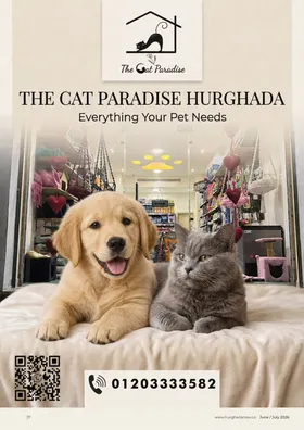 The Cat Paradise Hurghada: As printed